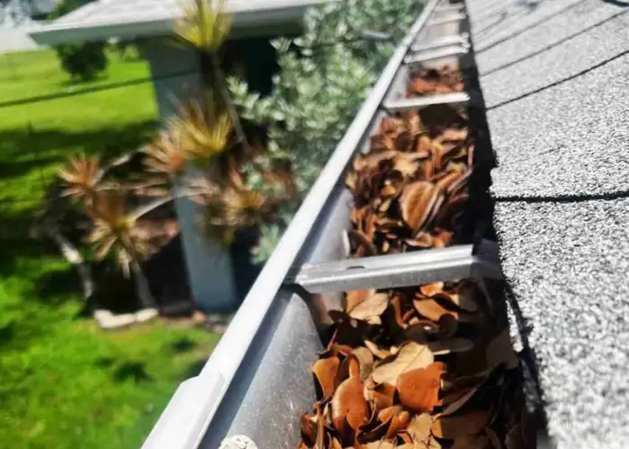 Gutter Cleaning Ewing home page